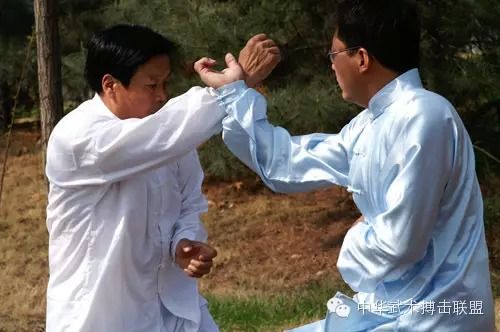 揭秘形意拳的“脊动”之技