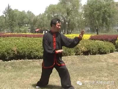 揭秘形意拳的“脊动”之技