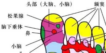 每天按几下都能长高的穴位
