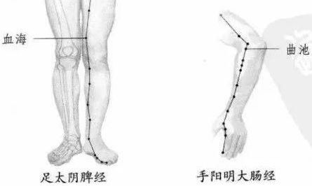 老年皮肤痒，调肺是关键