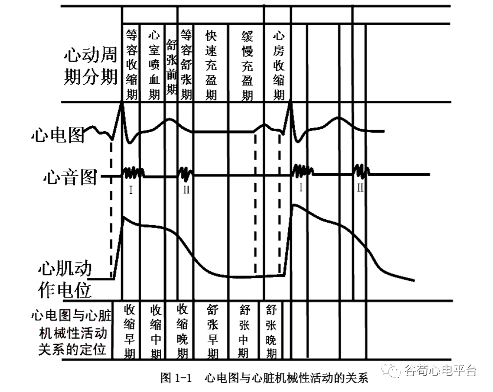 盘点正常心电图波形及各波的临床意义，收藏起来！