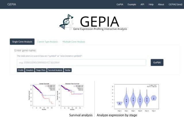 GEPIA