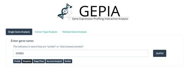 GEPIA