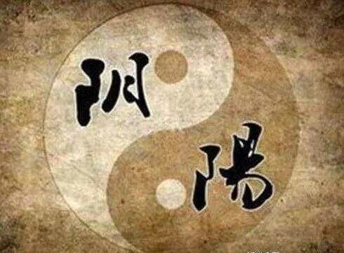 八纲辨证与遣药组方