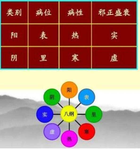 八纲辨证与遣药组方