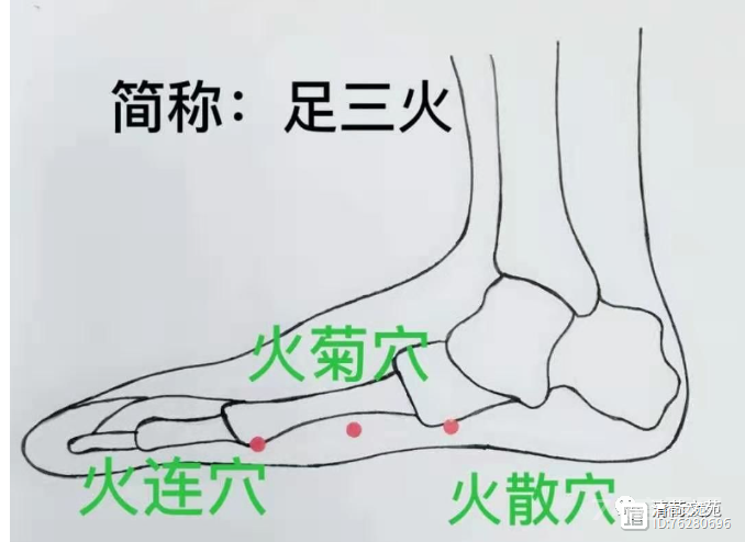 董穴六六部位：火连穴、  火菊穴、火散穴、水晶穴、  水仙穴