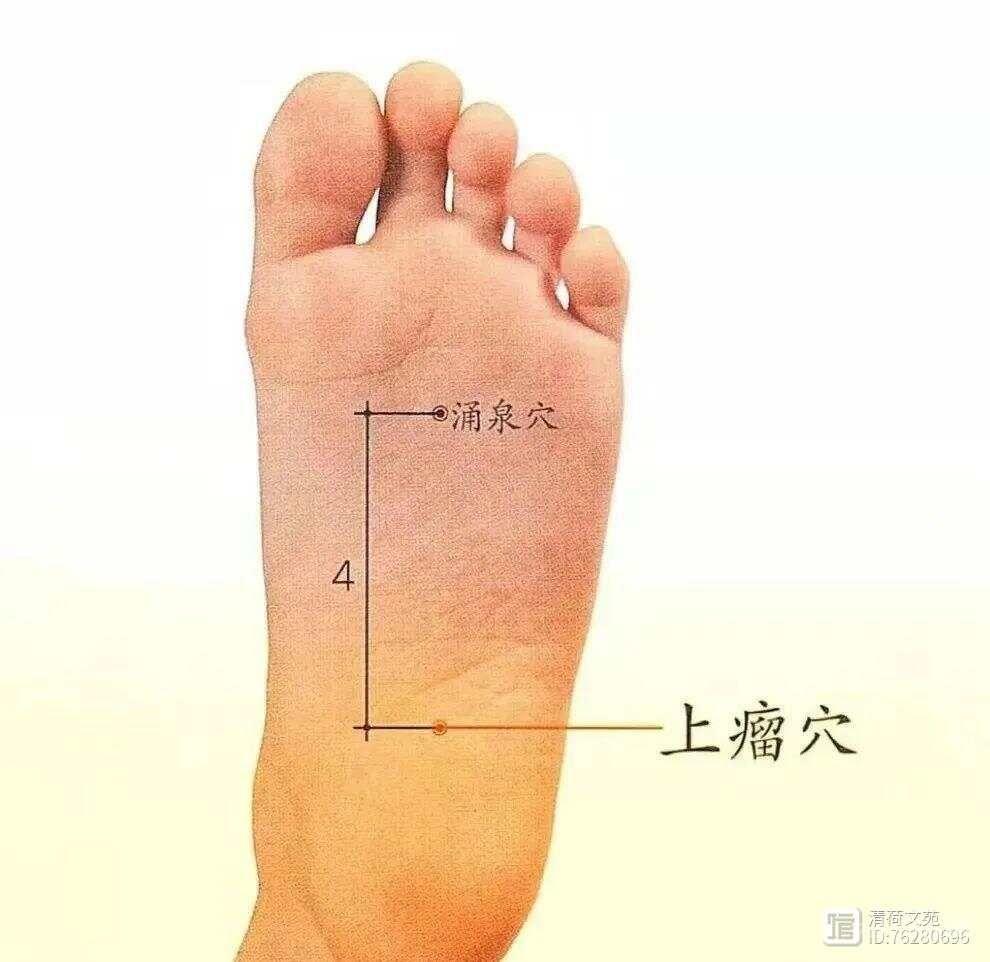 董穴六六部位：火连穴、  火菊穴、火散穴、水晶穴、  水仙穴
