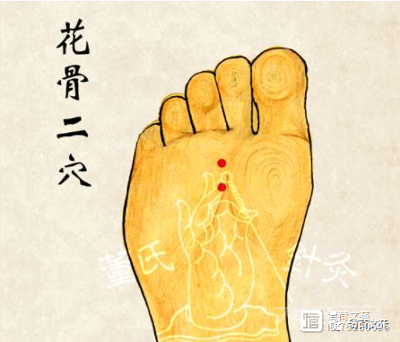董穴六六部位：火连穴、  火菊穴、火散穴、水晶穴、  水仙穴
