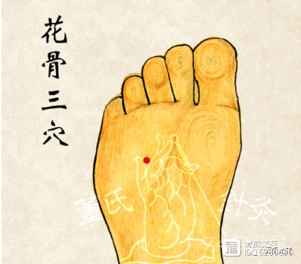 董穴六六部位：火连穴、  火菊穴、火散穴、水晶穴、  水仙穴