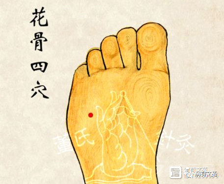 董穴六六部位：火连穴、  火菊穴、火散穴、水晶穴、  水仙穴
