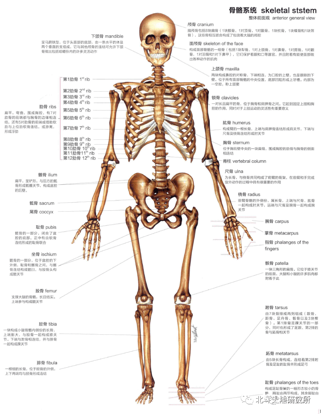 三魂七魄真形图