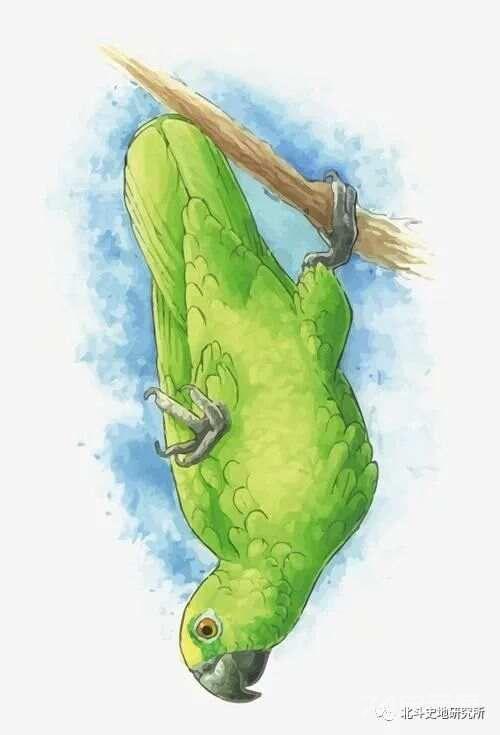 三魂七魄真形图