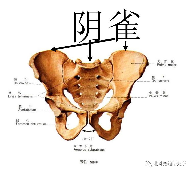三魂七魄真形图