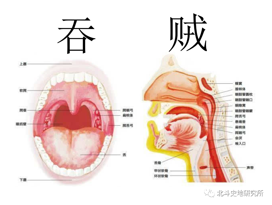 三魂七魄真形图
