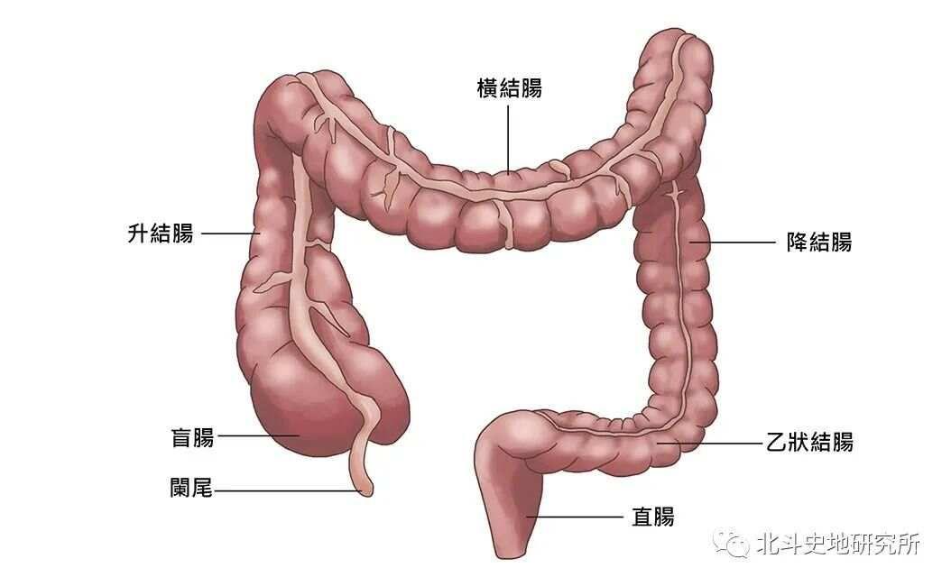 三魂七魄真形图