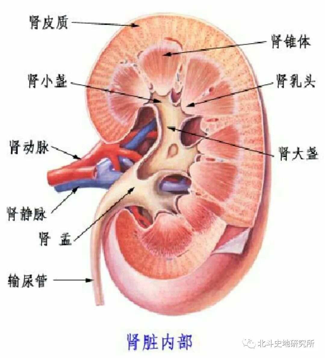 三魂七魄真形图