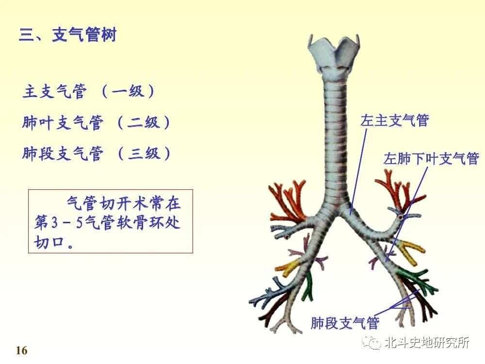 三魂七魄真形图