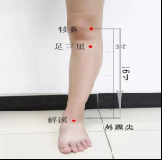 天星十二穴