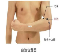 天星十二穴