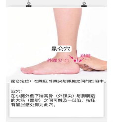 天星十二穴