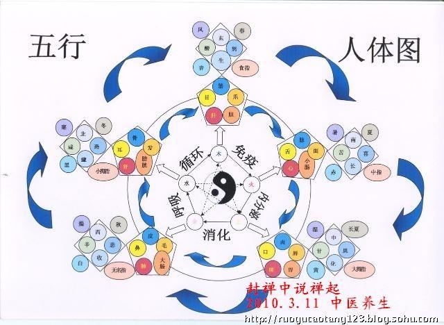 中医养生 五官、五脏、五情、五色、五味、五行