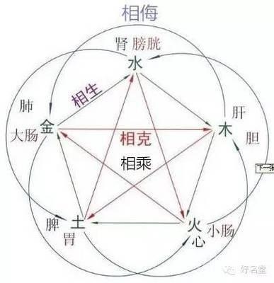 学五行，做自己医生（二）