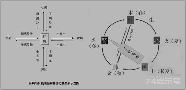 学五行，做自己医生（二）