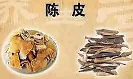 《病从脾胃生》5、痰邪，自测体内痰邪法、“二陈丸”、寒痰“小青
