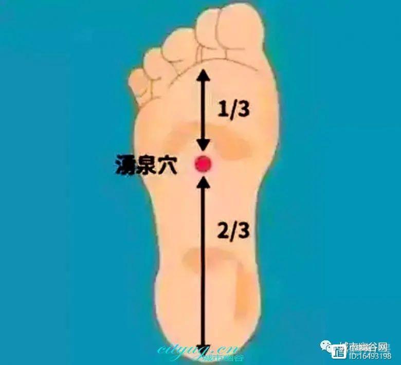 保健交流认识并按摩好自身十个长寿保健穴