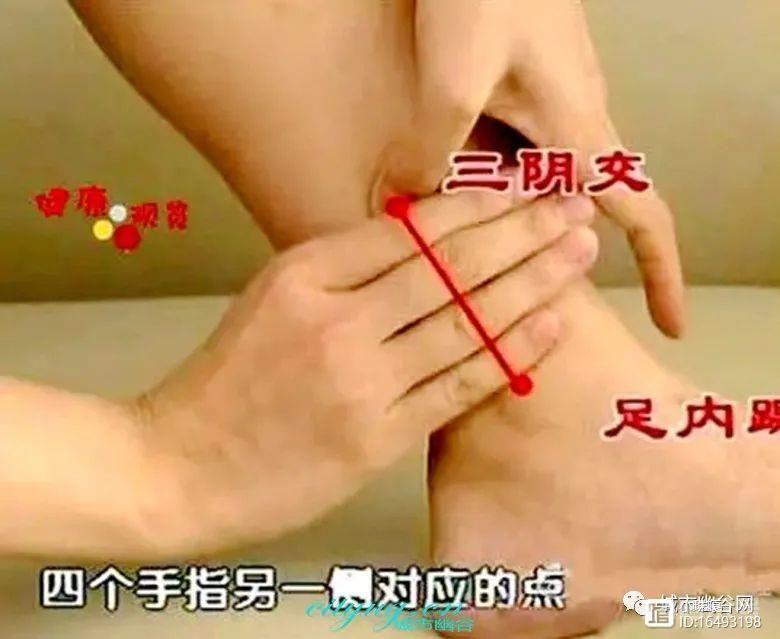 保健交流认识并按摩好自身十个长寿保健穴