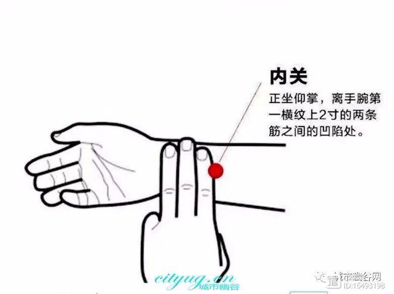 保健交流认识并按摩好自身十个长寿保健穴