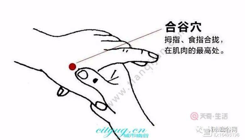保健交流认识并按摩好自身十个长寿保健穴