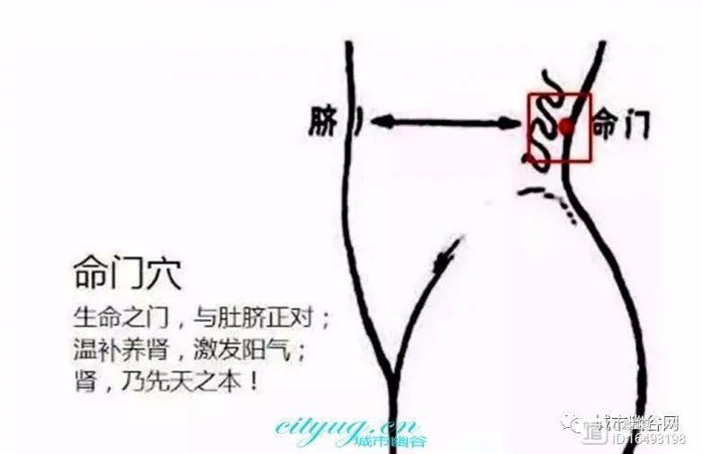 保健交流认识并按摩好自身十个长寿保健穴