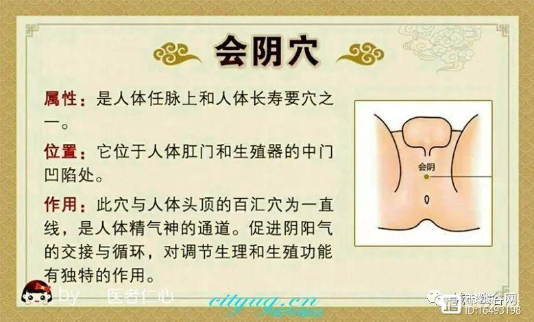 保健交流认识并按摩好自身十个长寿保健穴