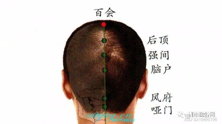 保健交流认识并按摩好自身十个长寿保健穴