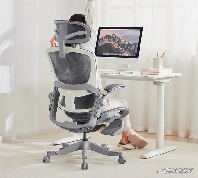 人体工学电脑椅_电脑人体工学椅哪个性价比高_电脑椅人体工程学哪个牌子好