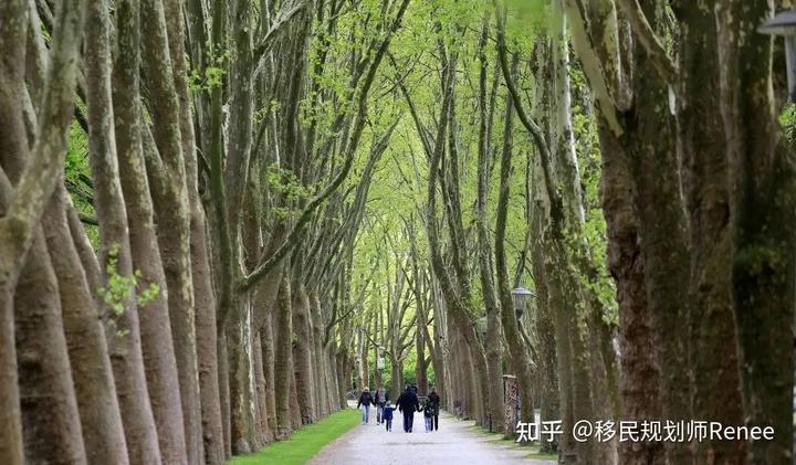 复活英文翻译_复活英文怎么写_复活节 英文