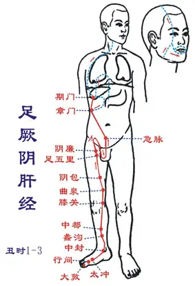 肝癌晚期支持疗法__肝癌晚期按摩方法视频