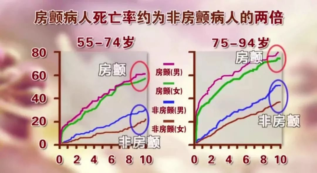 _心脏的发动机是什么_心脏人体的发动机教学设计