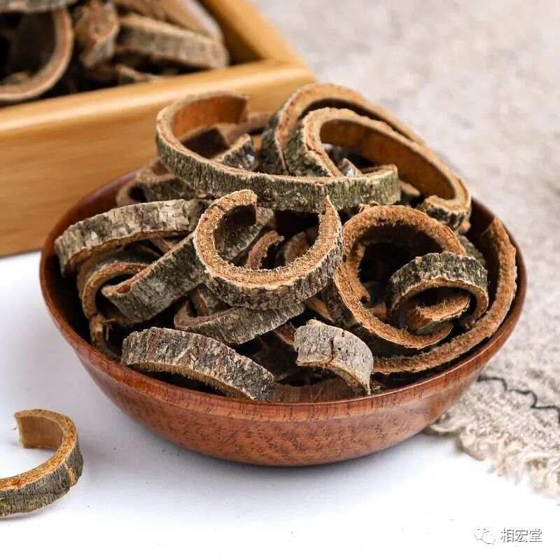 卢铸之医案解析（化解热药反应的经验）《一》