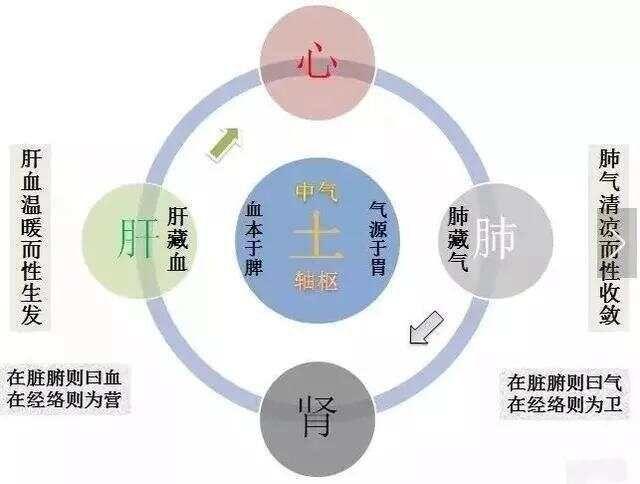 《黄帝内经》气血概念解析