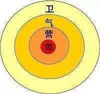 《黄帝内经》气血概念解析
