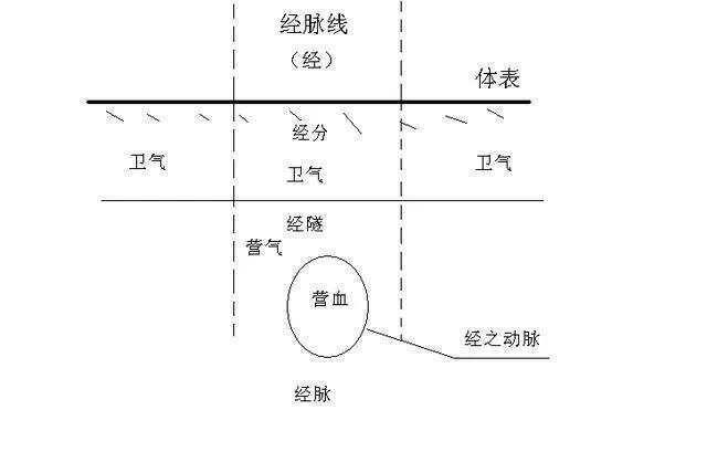 《黄帝内经》气血概念解析