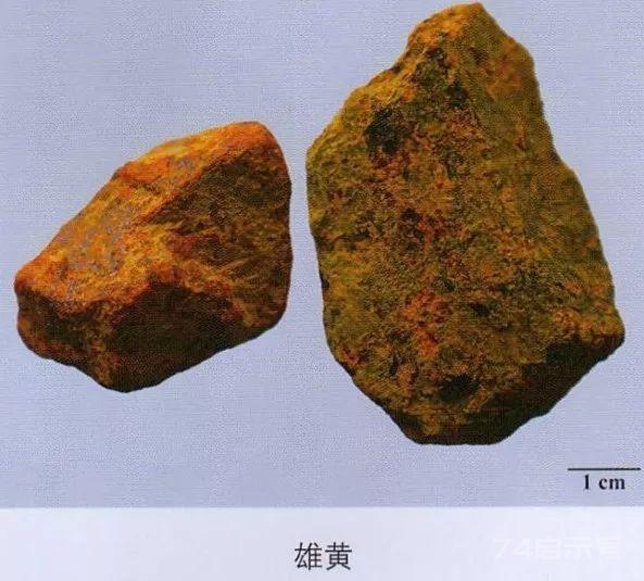 200味中药彩图谱，带图带功效，让你秒懂中药材！