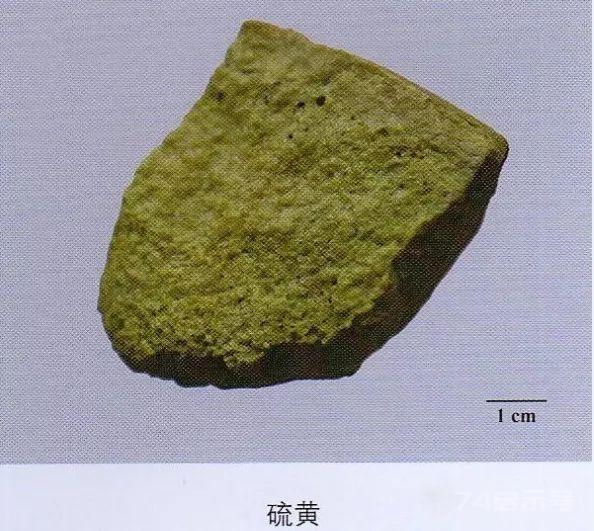 200味中药彩图谱，带图带功效，让你秒懂中药材！