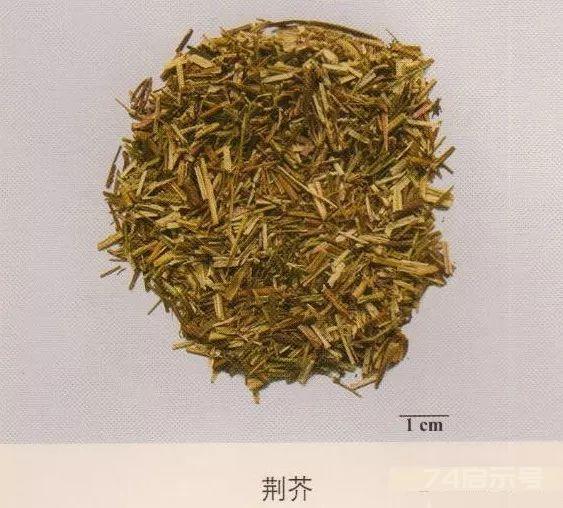 200味中药彩图谱，带图带功效，让你秒懂中药材！
