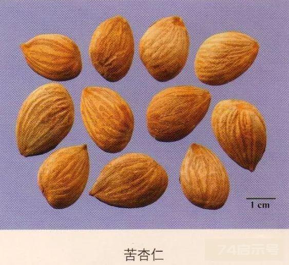 200味中药彩图谱，带图带功效，让你秒懂中药材！