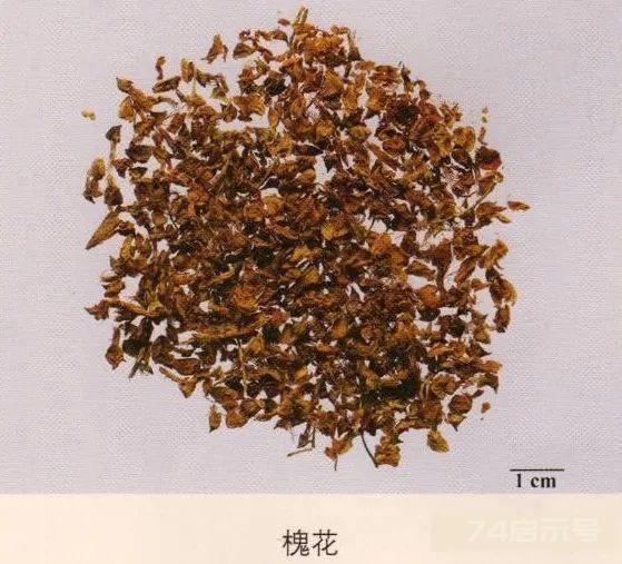 200味中药彩图谱，带图带功效，让你秒懂中药材！