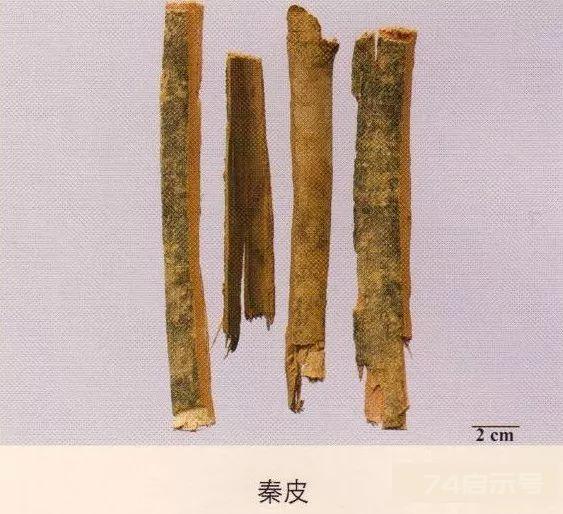 200味中药彩图谱，带图带功效，让你秒懂中药材！