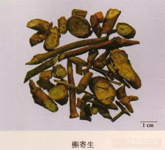200味中药彩图谱，带图带功效，让你秒懂中药材！